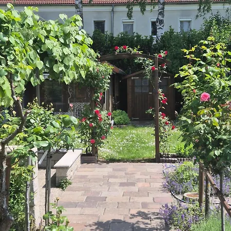 Garden Paradise Stadtoase * Linz