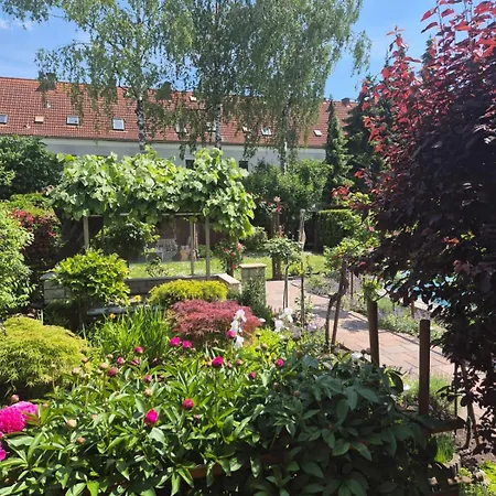 Garden Paradise Stadtoase Apartment